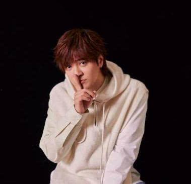 南宁罗志祥爆料新闻事件,娱乐圈风波再起，真相扑朔迷离  第2张