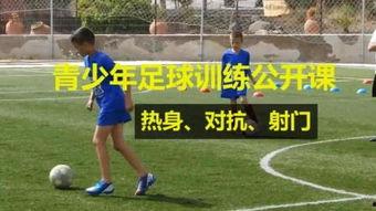 男子爆料足球视频大全最新,足球视频大全最新爆料，精彩瞬间一网打尽！  第2张